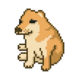 Swole CashDog flexing